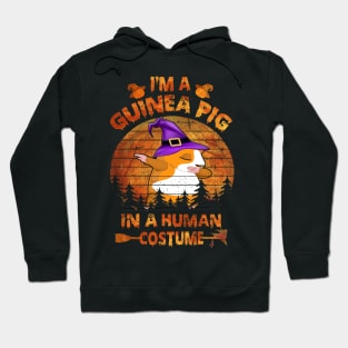 Guinea Pig Halloween Costumes (4) Hoodie